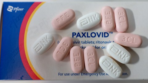 Pfizer Paxlovid