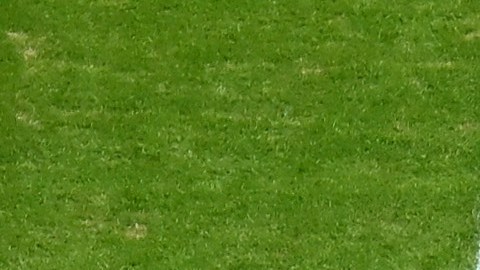 La NFL aprobó la utilización de un tercer quarterback.