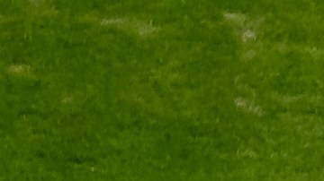 La NFL quiere formar parte de los Juegos Olímpicos.