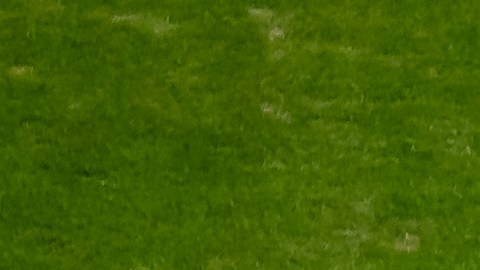La NFL quiere formar parte de los Juegos Olímpicos.