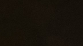 Saul 'Canelo' Álvarez recibió el Récord Guinness junto a sus seis hermanos.