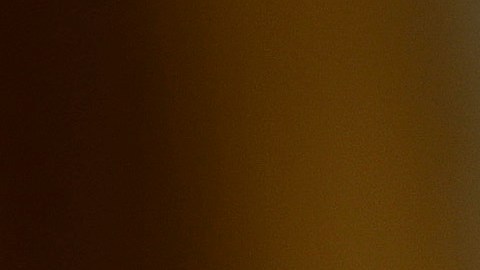 Menéndez reveló que ha llegado a ofrecer un plan detallado a la Casa Blanca, pero que ha sido ignorado por las autoridades.