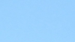 El Departamento de Policía de la ciudad de Boone agradeció a las vacas para llevarlos a la captura del sospechoso.