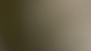 Chicago Mayor Lightfoot Votes In City's Mayoral Election