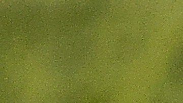 Pelota oficial de la MLS.