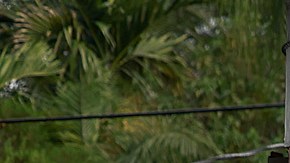 Inundaciones en Florida