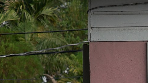 Inundaciones en Florida