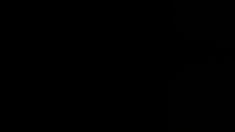 Tim Scott, aspirante republicano a la presidencia