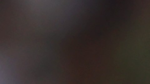 El jugador mexicano todavía tiene contrato con el Betis de España.