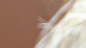 La coronación del rey Carlos III es un evento histórico. Desde hace más de 70 años no se vive esta ceremonia en Reino Unido.