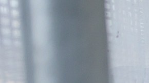 Inmigrantes cruzan el Puente Internacional Matamoros-Brownsville hacia Estados Unidos luego de obtener una cita para ingresar legalmente al país.