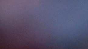 Zac Gallen mató accidentalmente a un pájaro durante un lanzamiento.