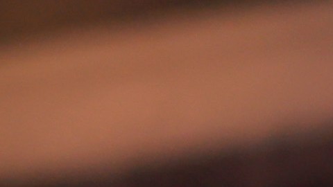 El estratega fue desvinculado de las Águilas del Club América.