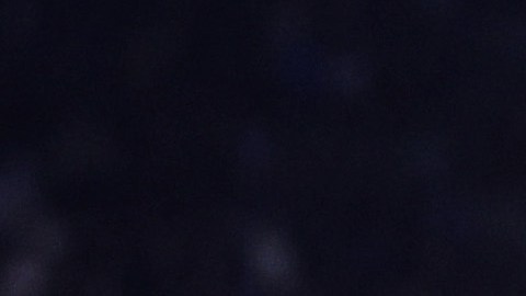 Alexander-Arnold celebra el impresionante gol ante Leicester City.