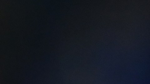 Javier Zanetti alabó la labor de su equipo.