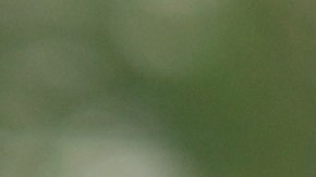 Michael Block celebra con el trofeo que conquistó en el PGA Championship 2023.