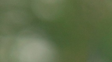 Michael Block celebra con el trofeo que conquistó en el PGA Championship 2023.