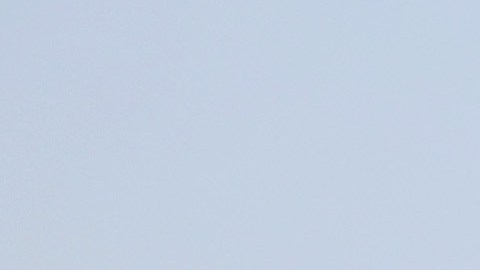 Neoyorquinos observan el acorazado Wasp, de Norfolk, Virginia, durante la Semana Naval.