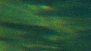 El cocodrilo atrapó la cabeza del hombre con sus mandíbulas.