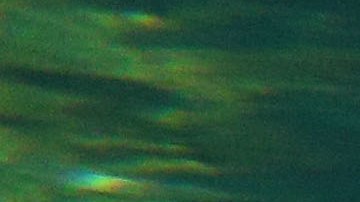 El cocodrilo atrapó la cabeza del hombre con sus mandíbulas.