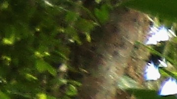 La mujer dijo que no intentó caminar hasta la ciudad más cercana debido a problemas de salud.