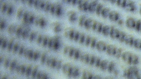 ¿Cuál es el origen de la Biblia?