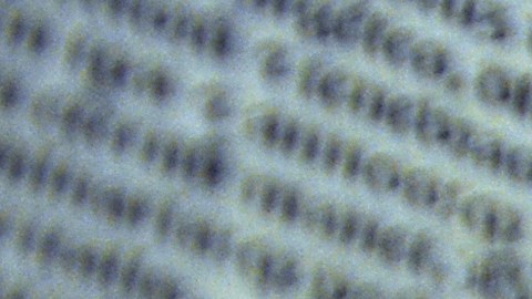 ¿Cuál es el origen de la Biblia?