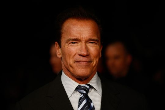 Arnold Schwarzenegger asegura que los animales de su granja lo hacen sentir mucho mejor