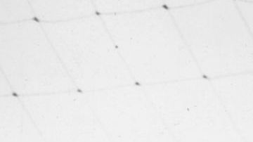 Antonio Carbajal fue un legendario portero de México.