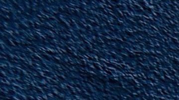 Los espinosáuridos comprenden diferentes grupos de dinosaurios que a menudo son grandes animales carnívoros.