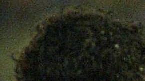 Samuel Eto'o retirándose del Estadio La Romadera por insultos racistas.