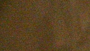 Las detenciones de migrantes en la frontera sur llegaron a 130,024 en febrero pasado.