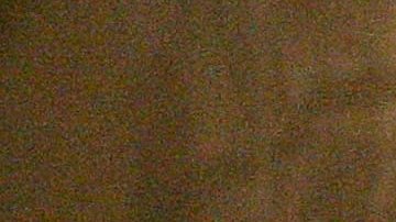 Las detenciones de migrantes en la frontera sur llegaron a 130,024 en febrero pasado.