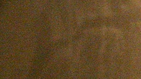 Las detenciones de migrantes en la frontera sur llegaron a 130,024 en febrero pasado.