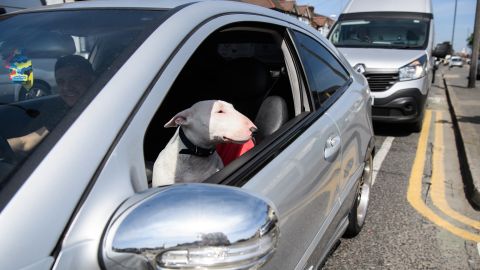 El conductor enfrenta cargos de conducción bajo la influencia del alcohol y/o drogas, exceso de velocidad y resistencia al arresto.