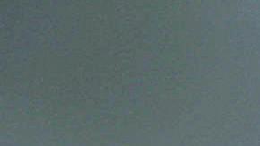 A member of the "Mara Salvatrucha" gang