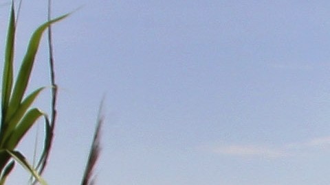 Alcalde de la ciudad de Laredo, en Texas, asegura que el flujo migratorio no ha sido abrumador