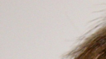 Tina Turner se retiró oficialmente de la música en 2013.