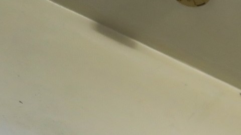 Los agentes de ICE tendrán un mejor sistema de videocámaras corporales.