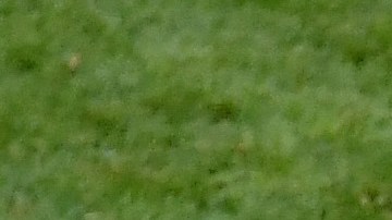 El jugador pidió que luchen por títulos para mejorar el nivel de México.