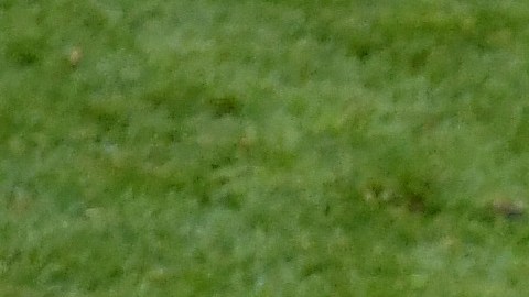 El jugador pidió que luchen por títulos para mejorar el nivel de México.