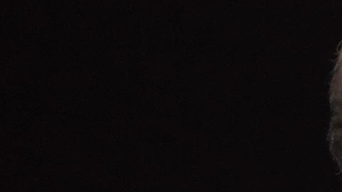 Aunque Luis Miguel es padre de tres hijos, todavía permanece soltero