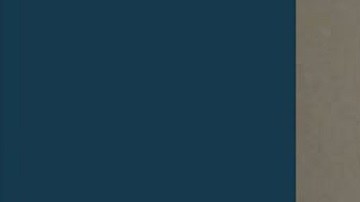 Michael-D-Stevens-II