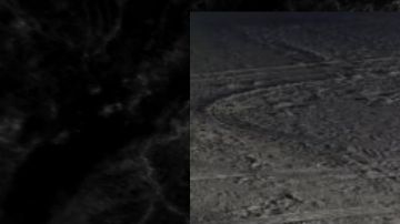 El caimán resultó ser una figura de arena.