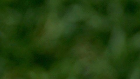 Comercial de la NFL protagonizado por Diana Flores gana en Sports Emmy Awards