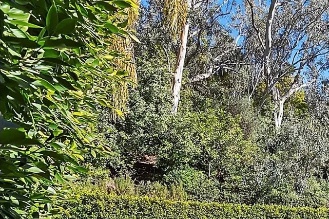 La mansión incluye espacios para disfrutar al aire libre/ Foto: The Grosby Group.