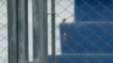 Estados Unidos, Argentina y Ecuador clasifican a los cuartos de final del Mundial Sub-20