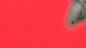 Tom Brady ganó siete veces el Super Bowl.