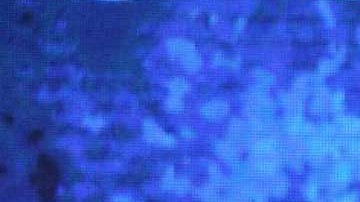 Yahir permanece gran parte de su tiempo disfrutando de la belleza del Mar de Cortés