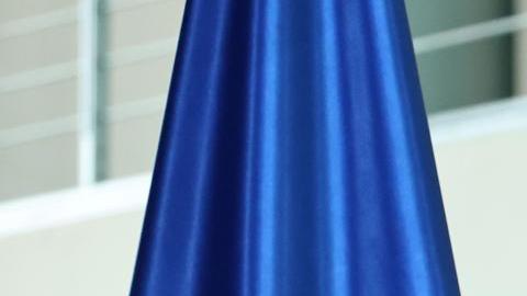 El presidente de Ucrania Zelensky visita Alemania.